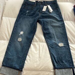 Women’s Banana Republic, premium denim boyfriend Jean, size 27 short